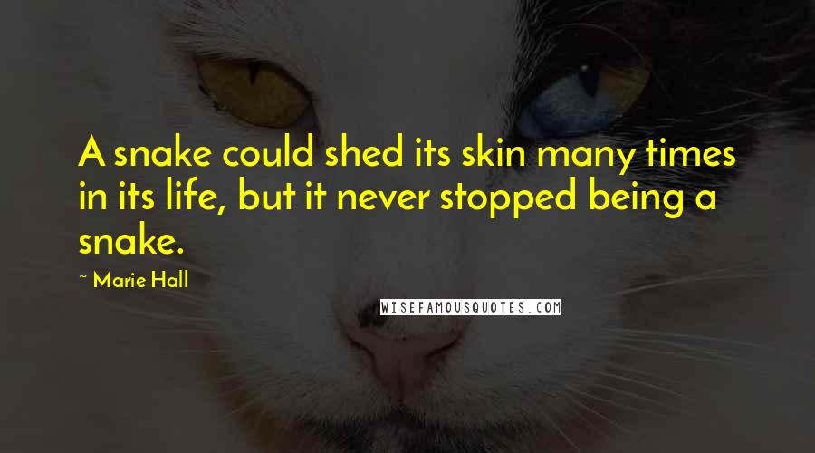 Marie Hall Quotes: A snake could shed its skin many times in its life, but it never stopped being a snake.