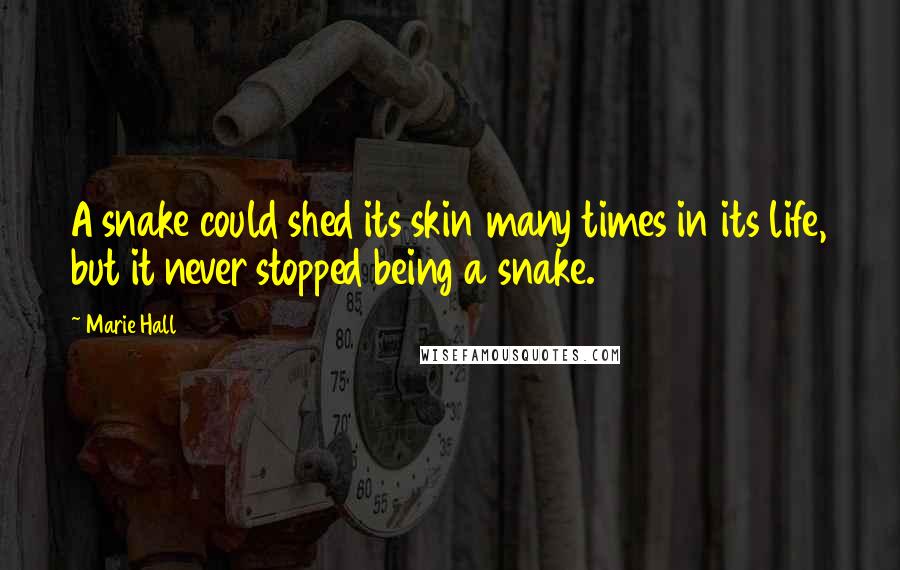 Marie Hall Quotes: A snake could shed its skin many times in its life, but it never stopped being a snake.