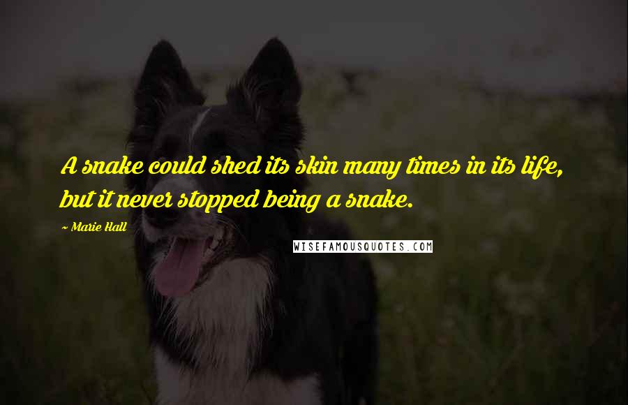 Marie Hall Quotes: A snake could shed its skin many times in its life, but it never stopped being a snake.