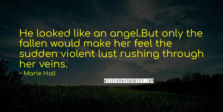 Marie Hall Quotes: He looked like an angel.But only the fallen would make her feel the sudden violent lust rushing through her veins.