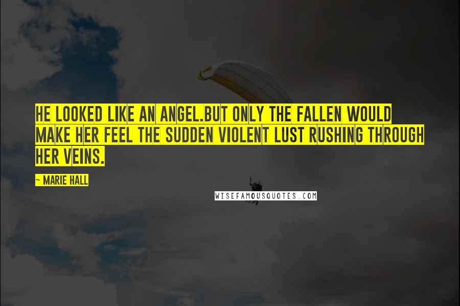 Marie Hall Quotes: He looked like an angel.But only the fallen would make her feel the sudden violent lust rushing through her veins.