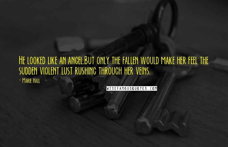 Marie Hall Quotes: He looked like an angel.But only the fallen would make her feel the sudden violent lust rushing through her veins.