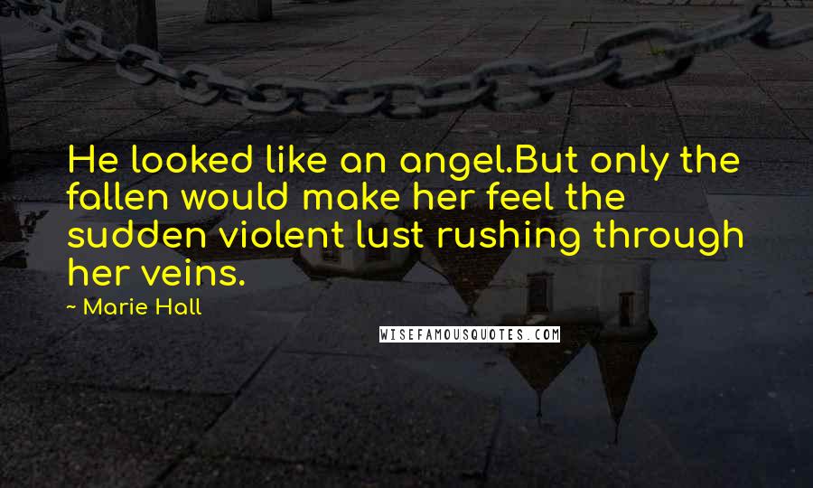 Marie Hall Quotes: He looked like an angel.But only the fallen would make her feel the sudden violent lust rushing through her veins.