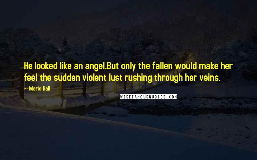 Marie Hall Quotes: He looked like an angel.But only the fallen would make her feel the sudden violent lust rushing through her veins.