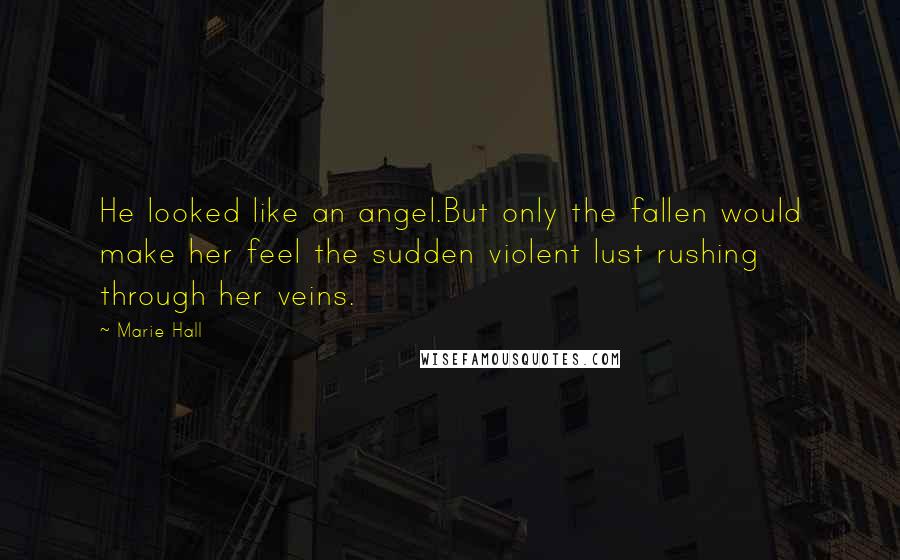 Marie Hall Quotes: He looked like an angel.But only the fallen would make her feel the sudden violent lust rushing through her veins.