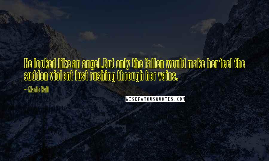 Marie Hall Quotes: He looked like an angel.But only the fallen would make her feel the sudden violent lust rushing through her veins.