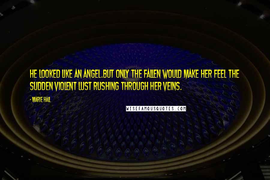 Marie Hall Quotes: He looked like an angel.But only the fallen would make her feel the sudden violent lust rushing through her veins.