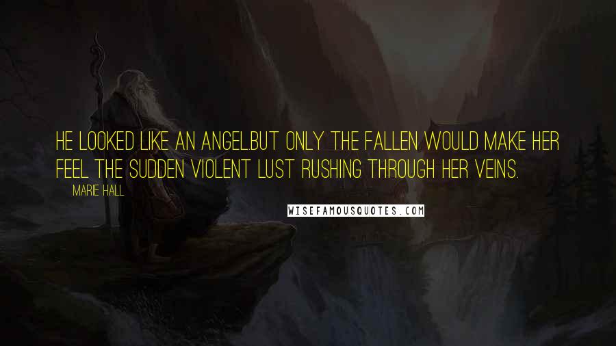 Marie Hall Quotes: He looked like an angel.But only the fallen would make her feel the sudden violent lust rushing through her veins.