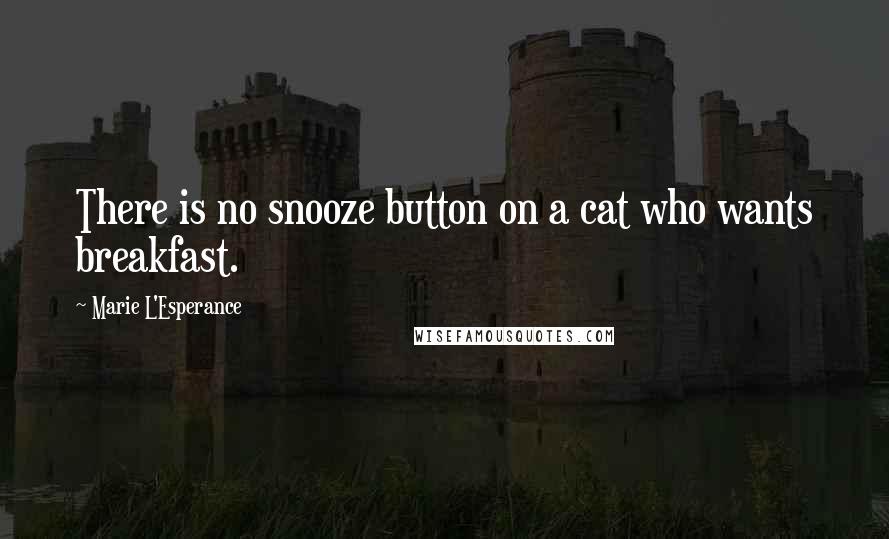 Marie L'Esperance Quotes: There is no snooze button on a cat who wants breakfast.