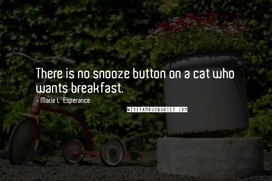 Marie L'Esperance Quotes: There is no snooze button on a cat who wants breakfast.