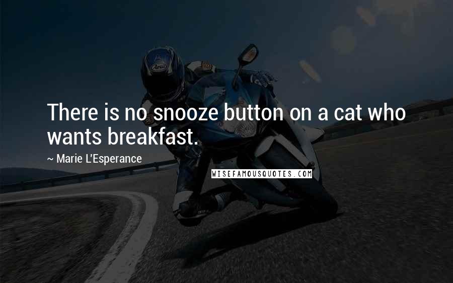 Marie L'Esperance Quotes: There is no snooze button on a cat who wants breakfast.