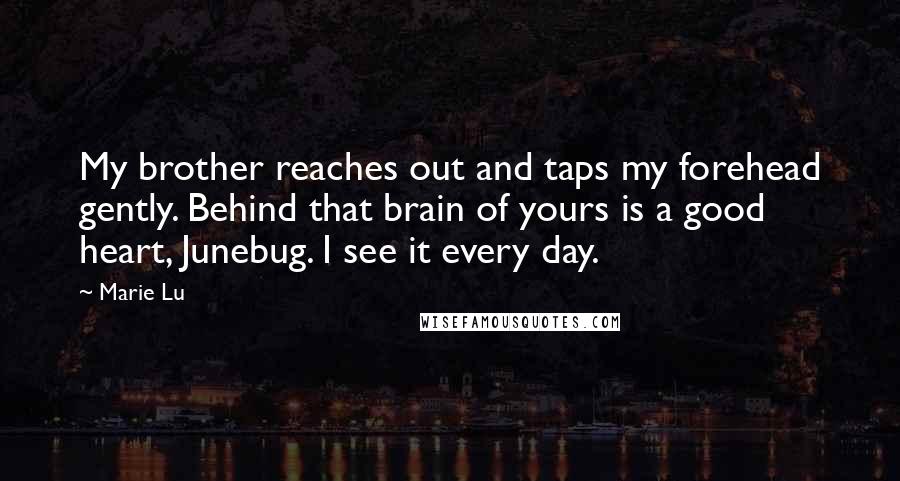 Marie Lu Quotes: My brother reaches out and taps my forehead gently. Behind that brain of yours is a good heart, Junebug. I see it every day.