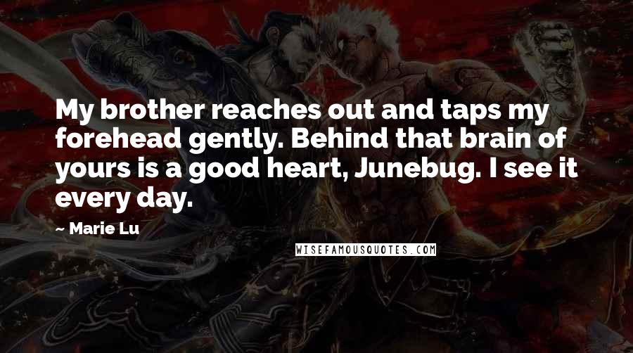 Marie Lu Quotes: My brother reaches out and taps my forehead gently. Behind that brain of yours is a good heart, Junebug. I see it every day.