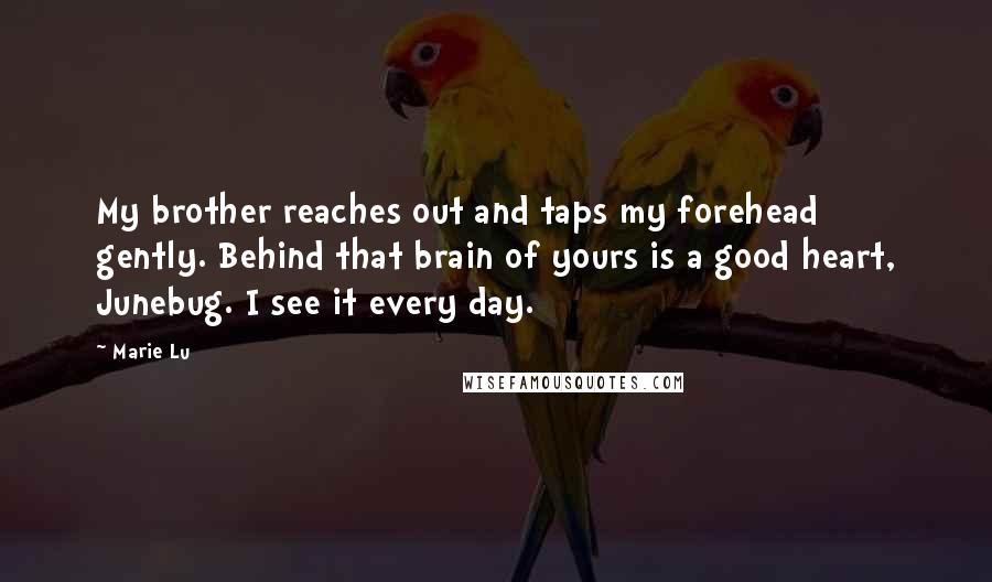 Marie Lu Quotes: My brother reaches out and taps my forehead gently. Behind that brain of yours is a good heart, Junebug. I see it every day.