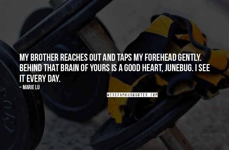 Marie Lu Quotes: My brother reaches out and taps my forehead gently. Behind that brain of yours is a good heart, Junebug. I see it every day.