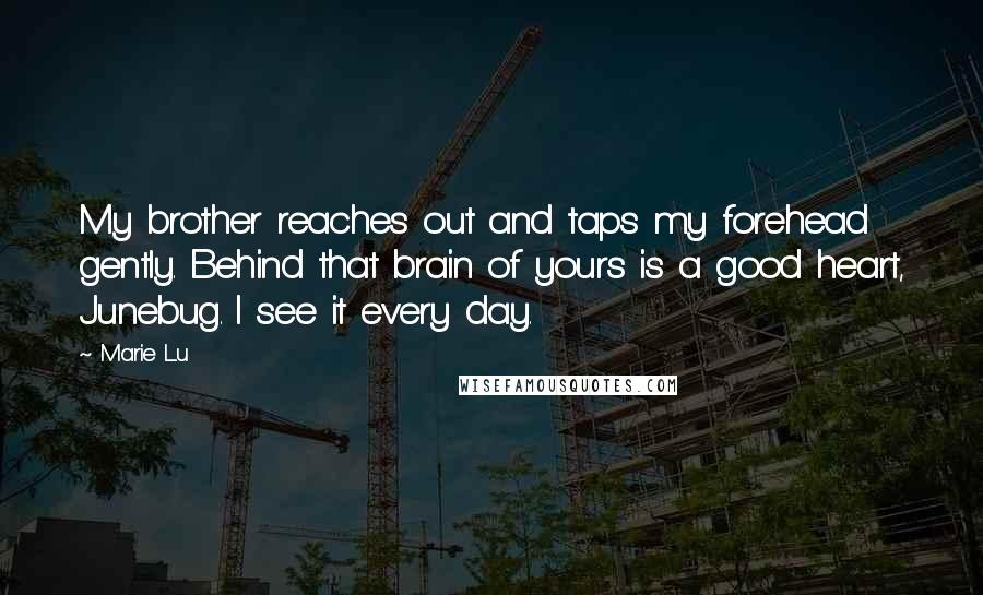 Marie Lu Quotes: My brother reaches out and taps my forehead gently. Behind that brain of yours is a good heart, Junebug. I see it every day.