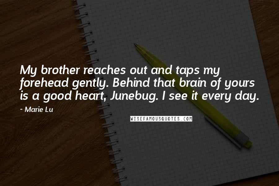 Marie Lu Quotes: My brother reaches out and taps my forehead gently. Behind that brain of yours is a good heart, Junebug. I see it every day.