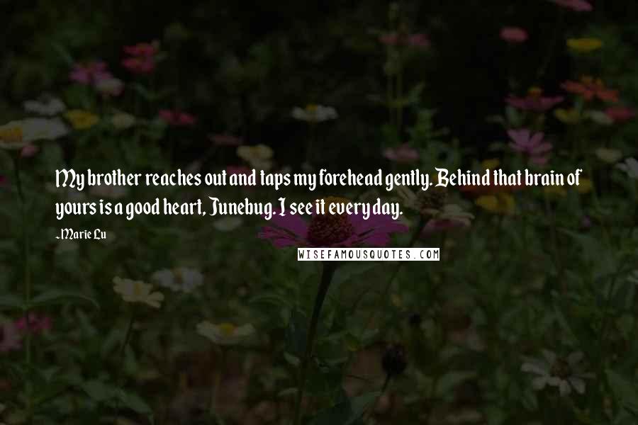 Marie Lu Quotes: My brother reaches out and taps my forehead gently. Behind that brain of yours is a good heart, Junebug. I see it every day.