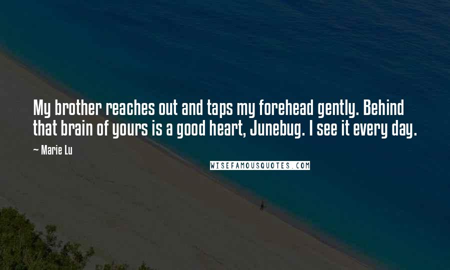 Marie Lu Quotes: My brother reaches out and taps my forehead gently. Behind that brain of yours is a good heart, Junebug. I see it every day.