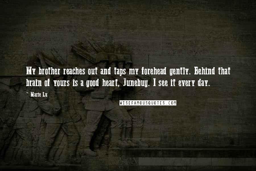 Marie Lu Quotes: My brother reaches out and taps my forehead gently. Behind that brain of yours is a good heart, Junebug. I see it every day.