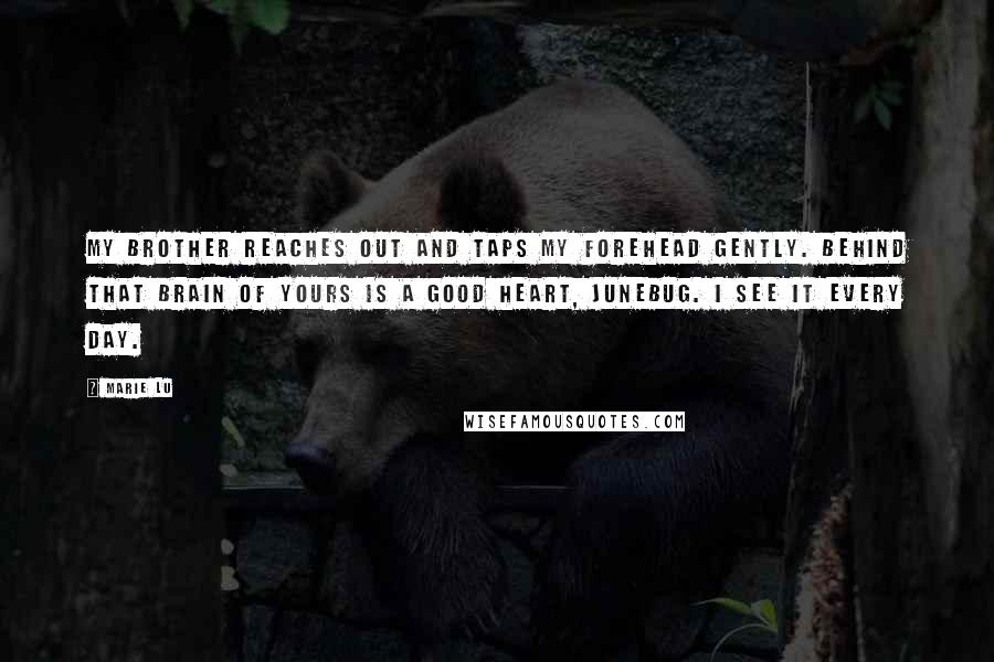 Marie Lu Quotes: My brother reaches out and taps my forehead gently. Behind that brain of yours is a good heart, Junebug. I see it every day.