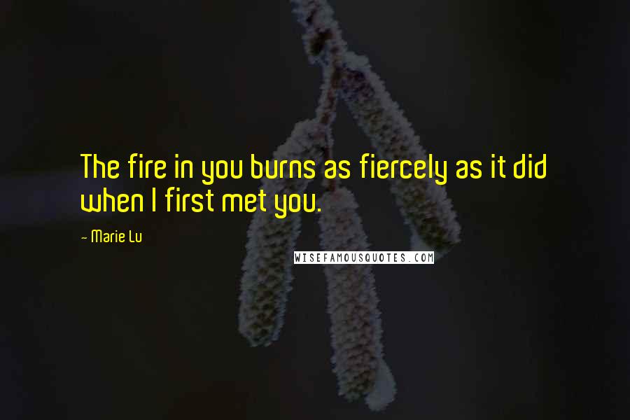 Marie Lu Quotes: The fire in you burns as fiercely as it did when I first met you.