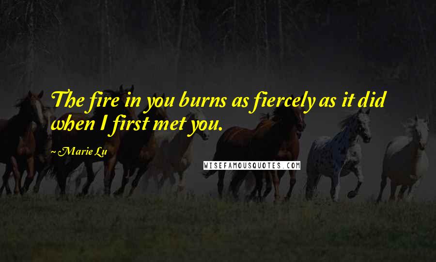 Marie Lu Quotes: The fire in you burns as fiercely as it did when I first met you.