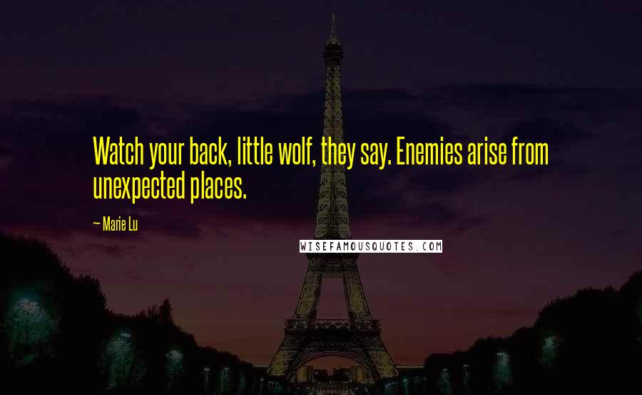 Marie Lu Quotes: Watch your back, little wolf, they say. Enemies arise from unexpected places.