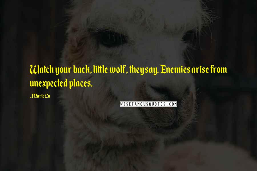 Marie Lu Quotes: Watch your back, little wolf, they say. Enemies arise from unexpected places.