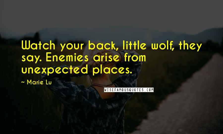 Marie Lu Quotes: Watch your back, little wolf, they say. Enemies arise from unexpected places.