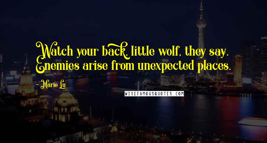 Marie Lu Quotes: Watch your back, little wolf, they say. Enemies arise from unexpected places.