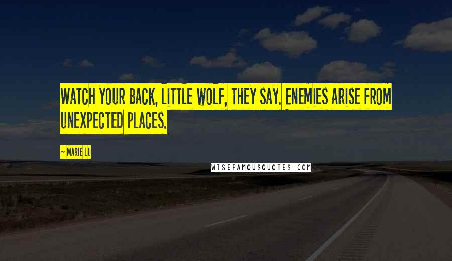 Marie Lu Quotes: Watch your back, little wolf, they say. Enemies arise from unexpected places.