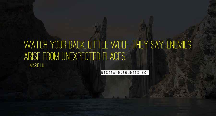 Marie Lu Quotes: Watch your back, little wolf, they say. Enemies arise from unexpected places.