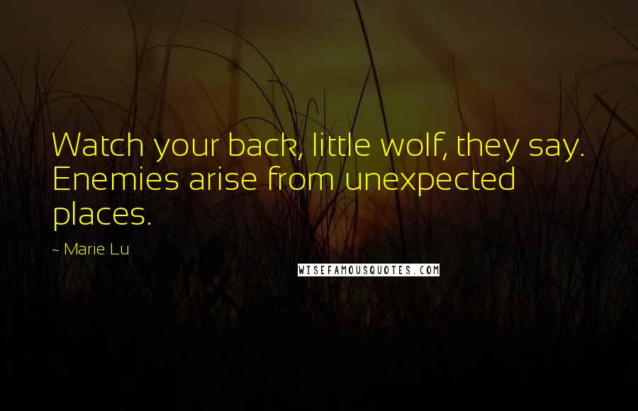 Marie Lu Quotes: Watch your back, little wolf, they say. Enemies arise from unexpected places.