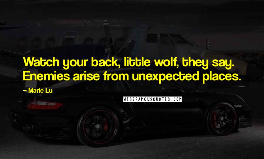 Marie Lu Quotes: Watch your back, little wolf, they say. Enemies arise from unexpected places.