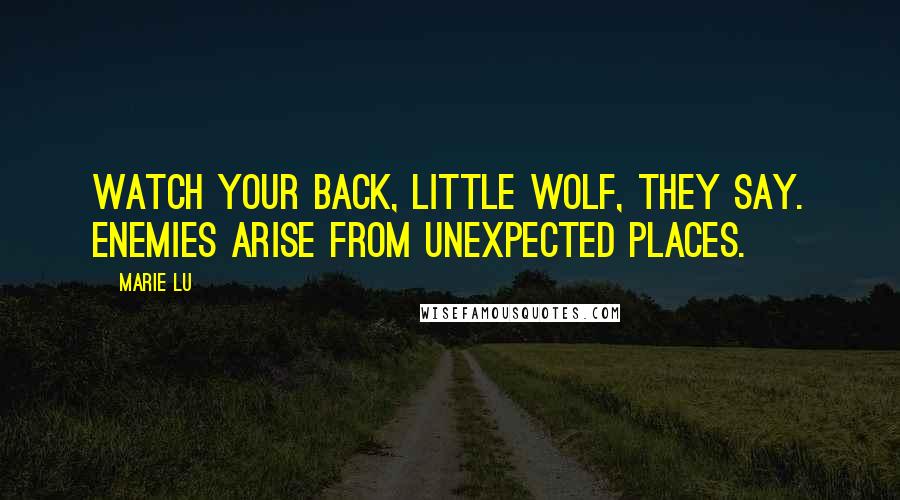 Marie Lu Quotes: Watch your back, little wolf, they say. Enemies arise from unexpected places.