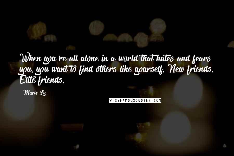 Marie Lu Quotes: When you're all alone in a world that hates and fears you, you want to find others like yourself. New friends. Elite friends.