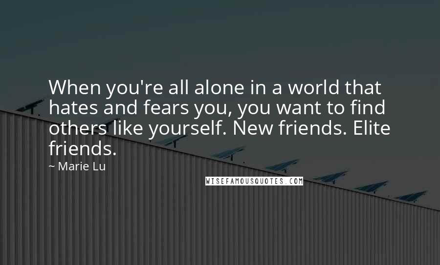 Marie Lu Quotes: When you're all alone in a world that hates and fears you, you want to find others like yourself. New friends. Elite friends.