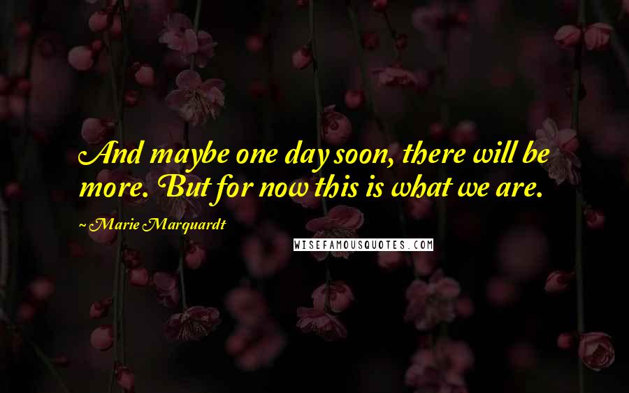 Marie Marquardt Quotes: And maybe one day soon, there will be more. But for now this is what we are.