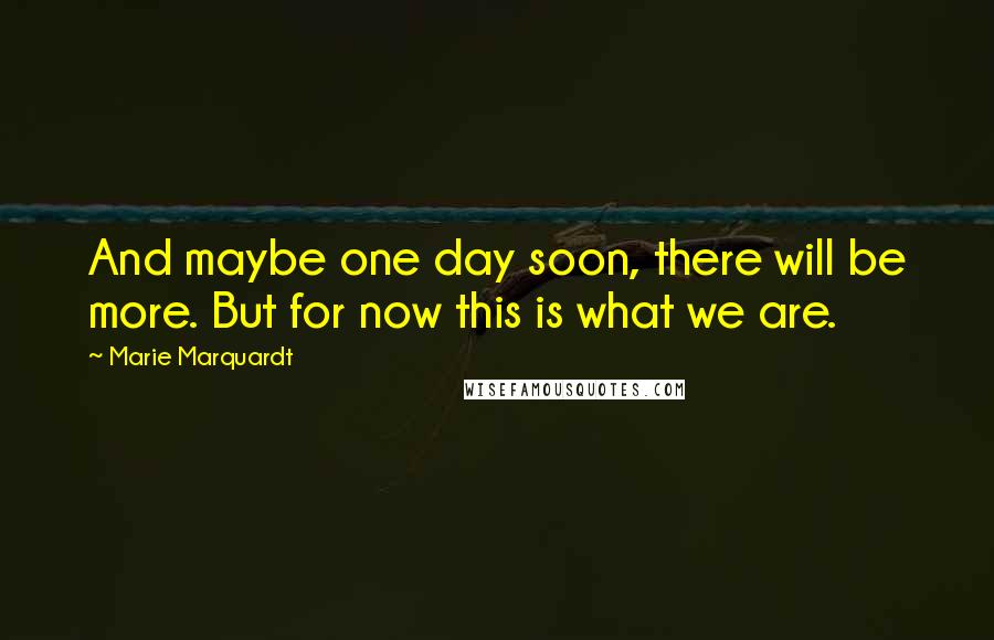 Marie Marquardt Quotes: And maybe one day soon, there will be more. But for now this is what we are.