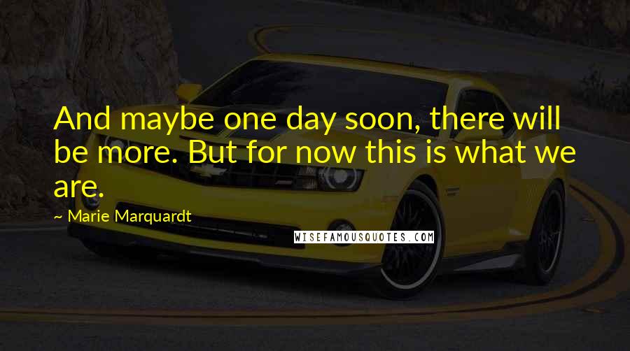 Marie Marquardt Quotes: And maybe one day soon, there will be more. But for now this is what we are.