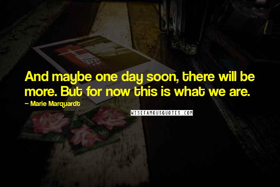 Marie Marquardt Quotes: And maybe one day soon, there will be more. But for now this is what we are.