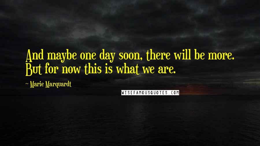 Marie Marquardt Quotes: And maybe one day soon, there will be more. But for now this is what we are.