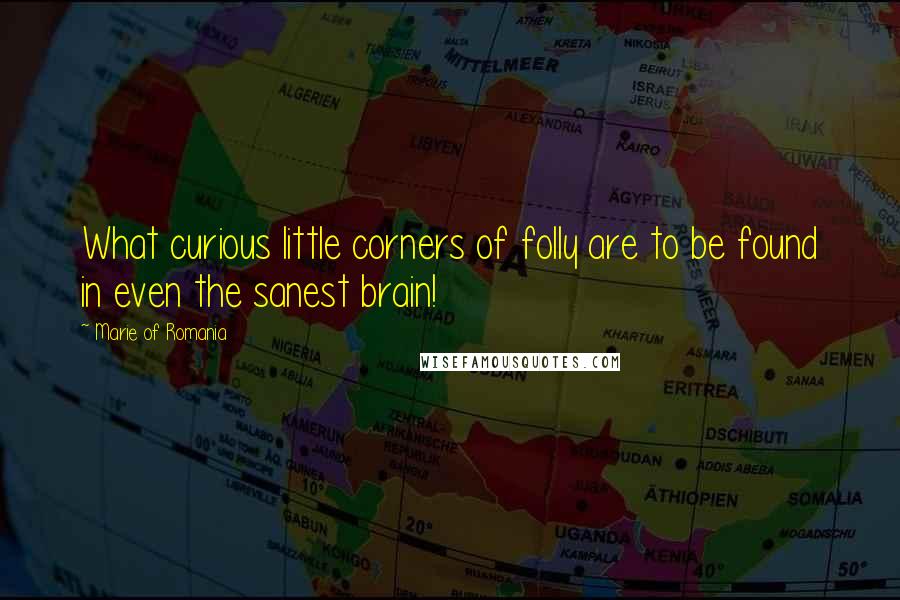 Marie Of Romania Quotes: What curious little corners of folly are to be found in even the sanest brain!