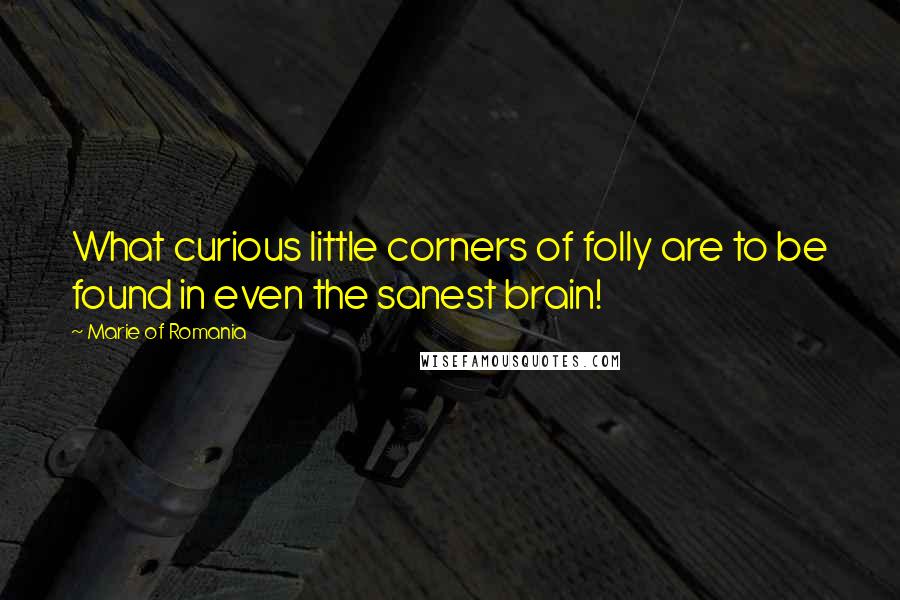 Marie Of Romania Quotes: What curious little corners of folly are to be found in even the sanest brain!