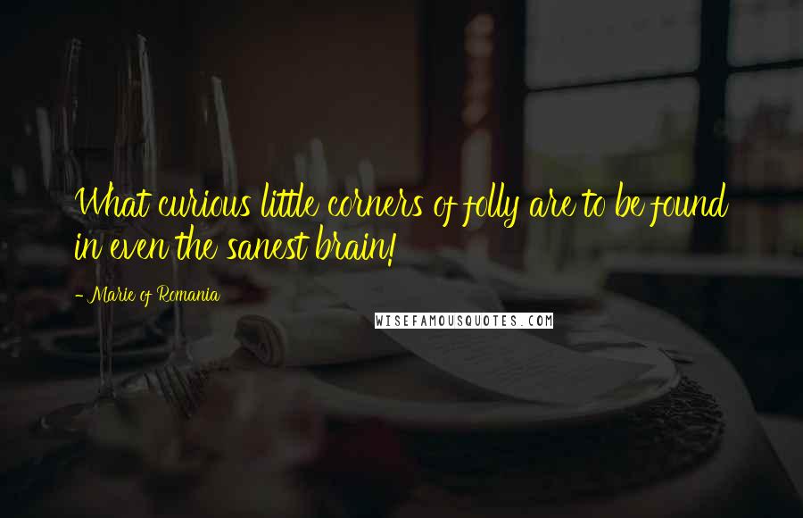 Marie Of Romania Quotes: What curious little corners of folly are to be found in even the sanest brain!