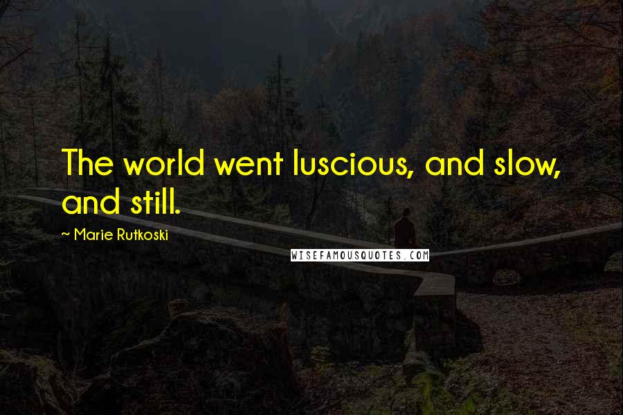 Marie Rutkoski Quotes: The world went luscious, and slow, and still.