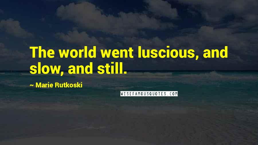 Marie Rutkoski Quotes: The world went luscious, and slow, and still.