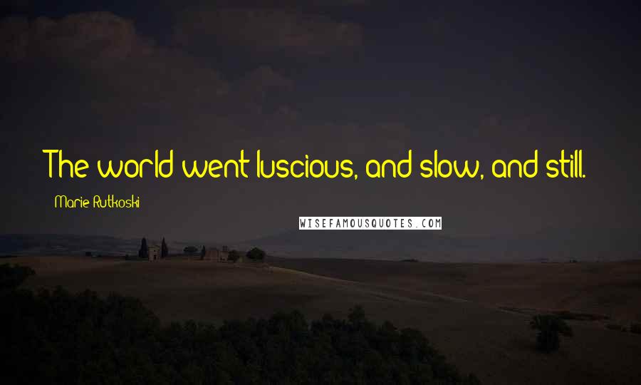 Marie Rutkoski Quotes: The world went luscious, and slow, and still.