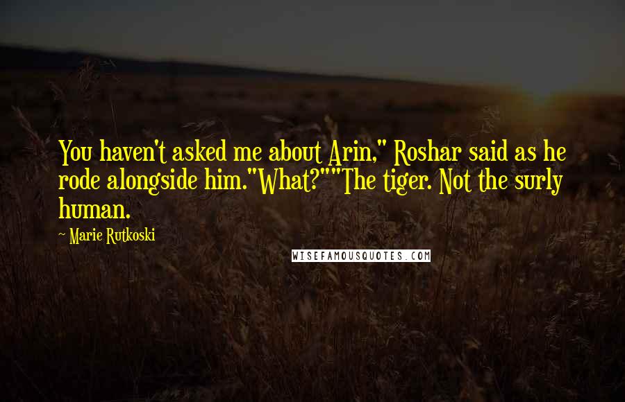 Marie Rutkoski Quotes: You haven't asked me about Arin," Roshar said as he rode alongside him."What?""The tiger. Not the surly human.